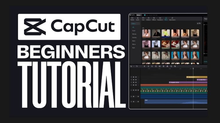 CapCut Filters Basic Use In 2024